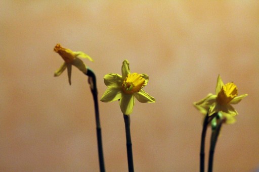 2012_02_24