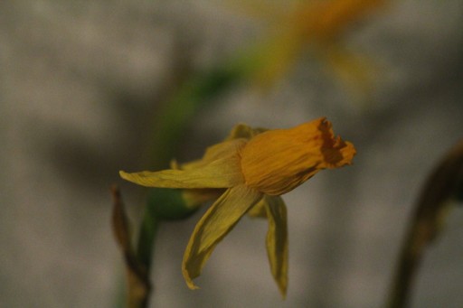 2012_02_25