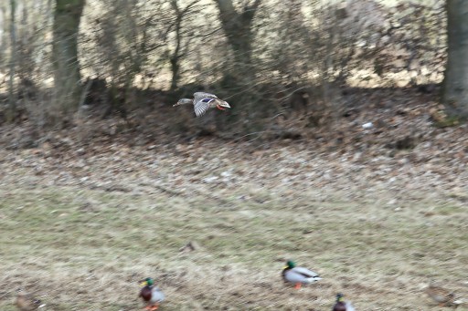 2012_02_26